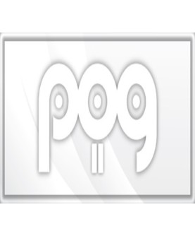 POG 2 Steam Key GLOBAL